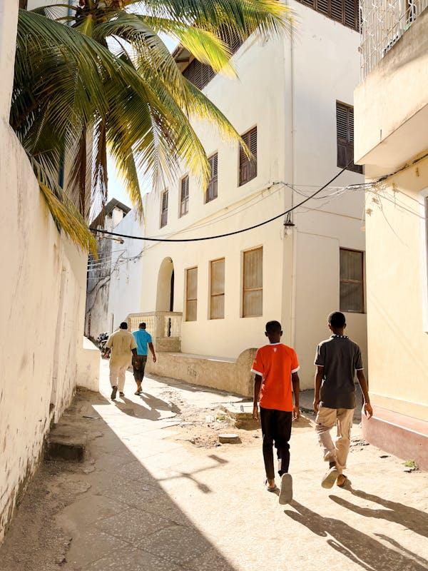 Stone Town Walking Tour with Guide