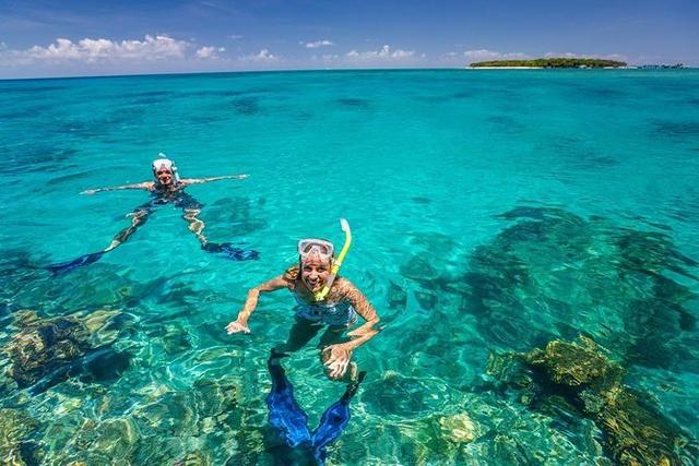 Zanzibar: Dolphin and Snorkeling Tour at Mnemba Island with Lunch